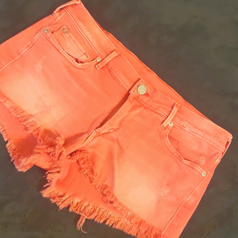 EUC True Religion Shorts